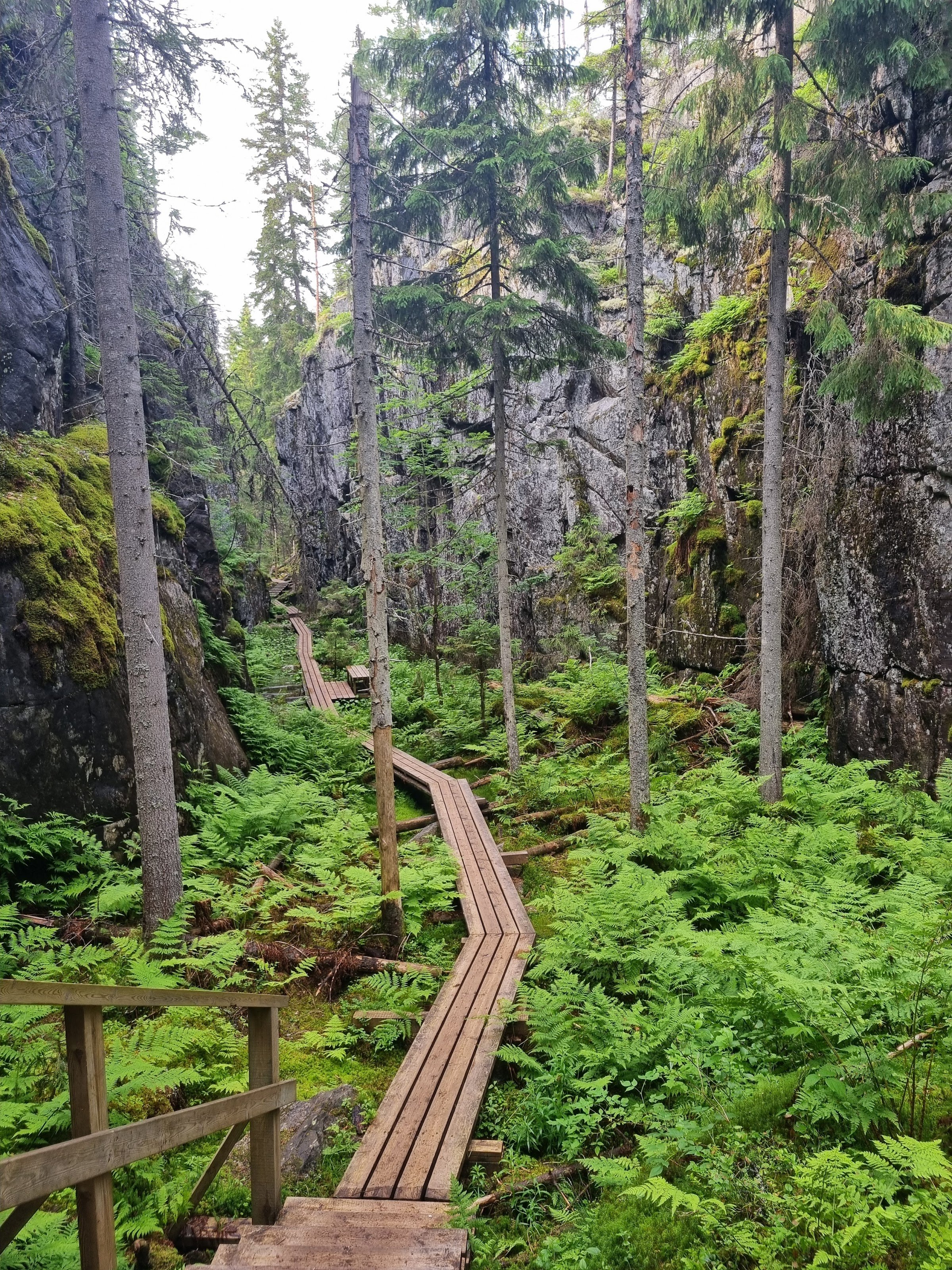 Orinoro Gorge (Orinnoro rotko)